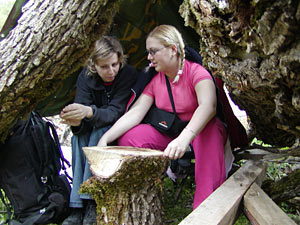 Gostilje, pod šatorom